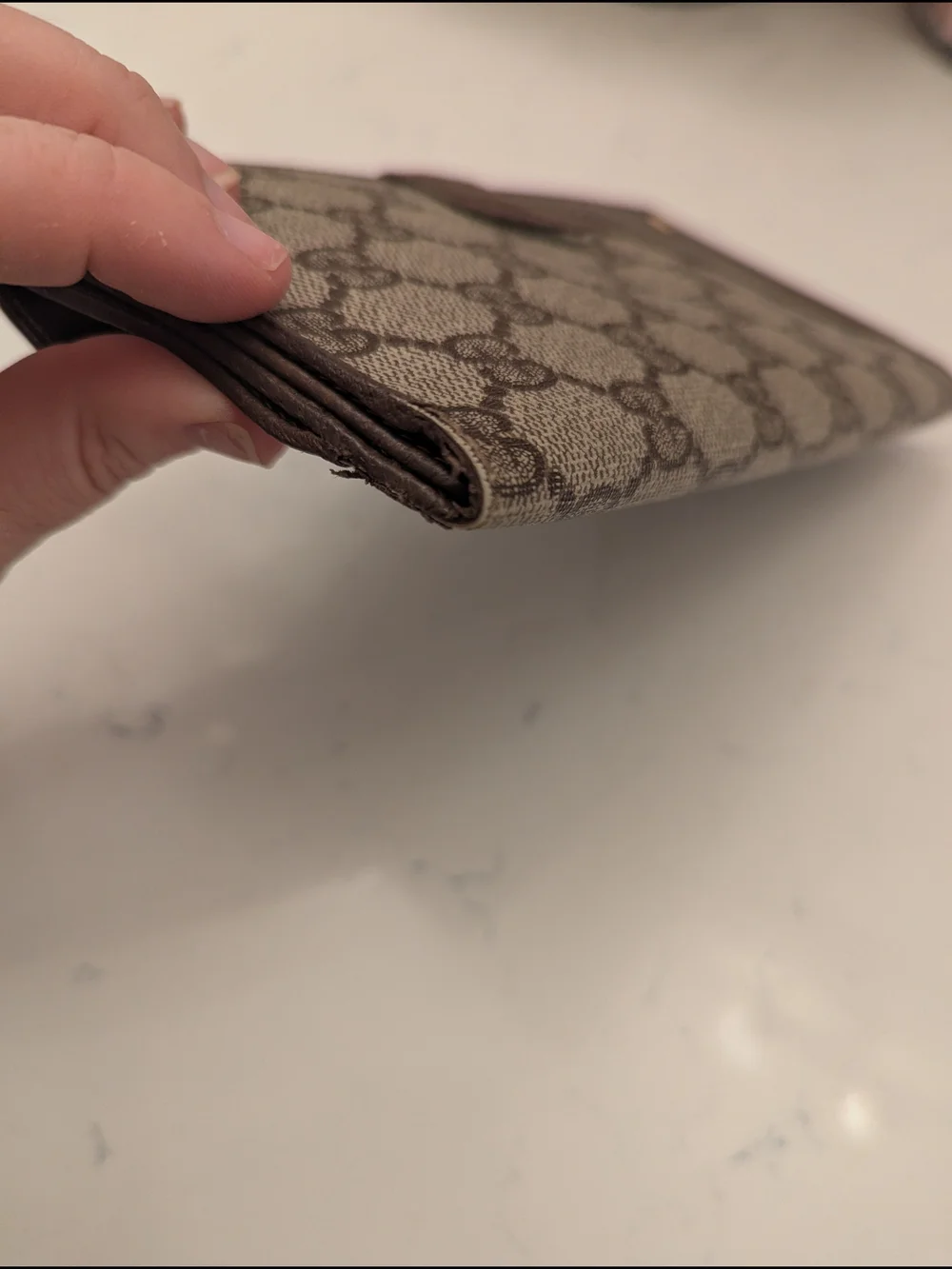 Gucci Long Wallet Organizer w COA - Picture 17 of 17